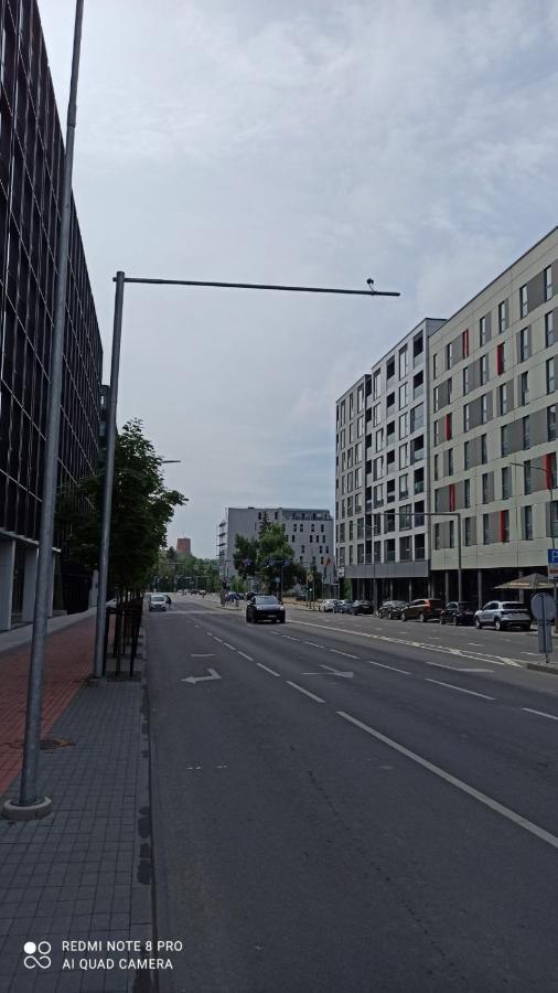 Urban Center Apartment Wilna Exterior foto